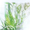 Geranium Perfume Refill – Rivieres De Cartier | Cartier