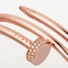 Juste Un Clou Bracelet, Double, Diamonds