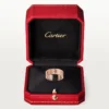 Love Unlimited Ring Love Unlimited Ring