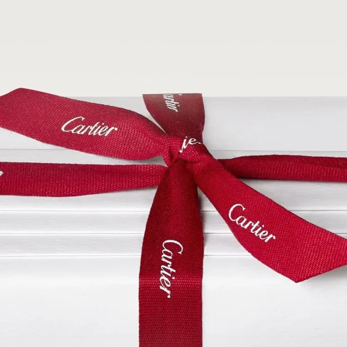 Pasha De Cartier Edition Noire