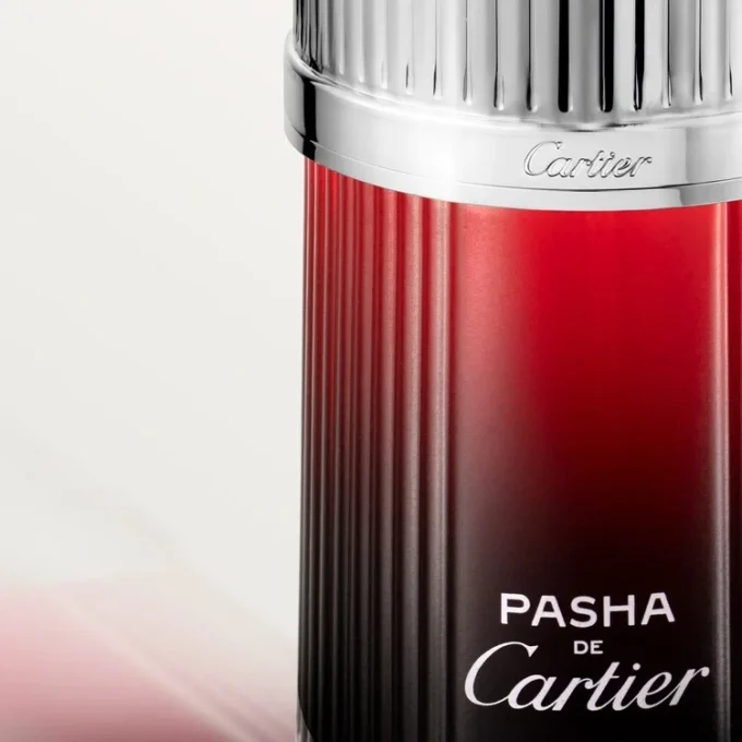 Pasha De Cartier Edition Noire Sport