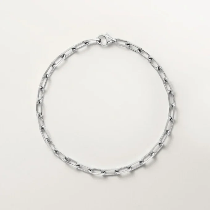 Santos De Cartier Bracelet, Chain, Small Model