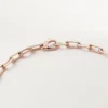 Santos De Cartier Necklace, Chain, Medium Model