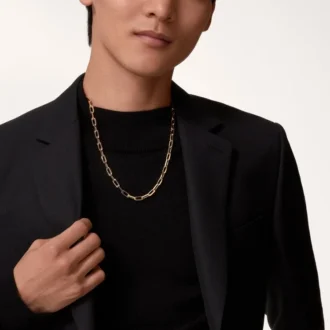 Santos De Cartier Necklace, Chain, Medium Model