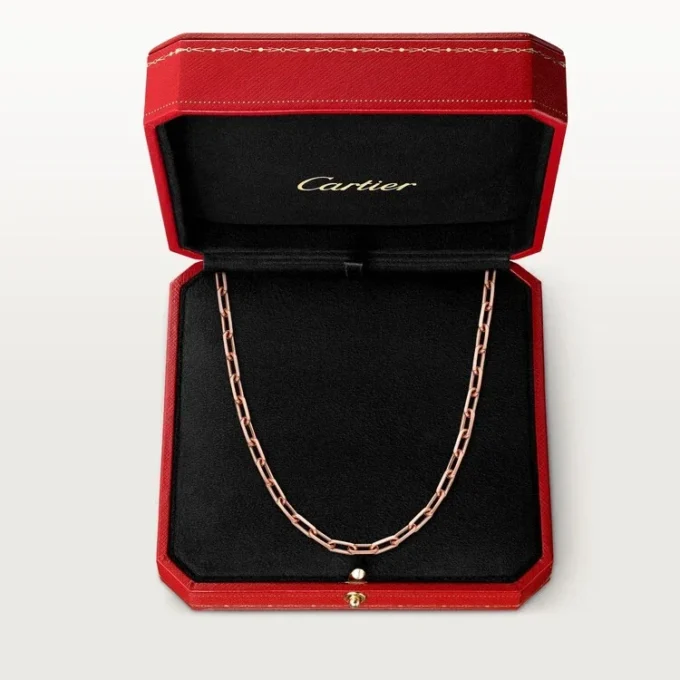 Santos De Cartier Necklace, Chain, Medium Model