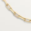 Santos De Cartier Necklace, Chain, Medium Model