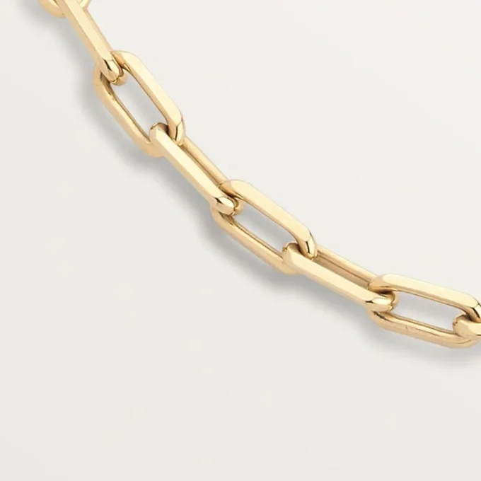 Santos De Cartier Necklace, Chain, Medium Model